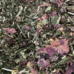 TISANE Circulation BIO 10g