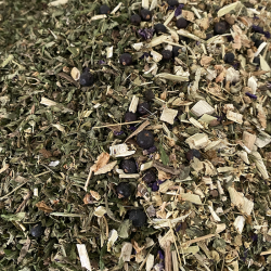 TISANE DETOX BIO 10g