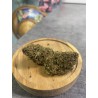 Fleurs CBD OG KUSH récolte 2024