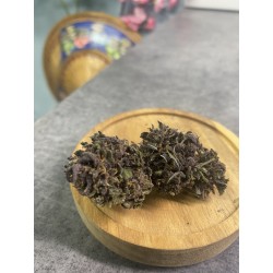 Fleurs CBD Purple Kush récolte 2024
