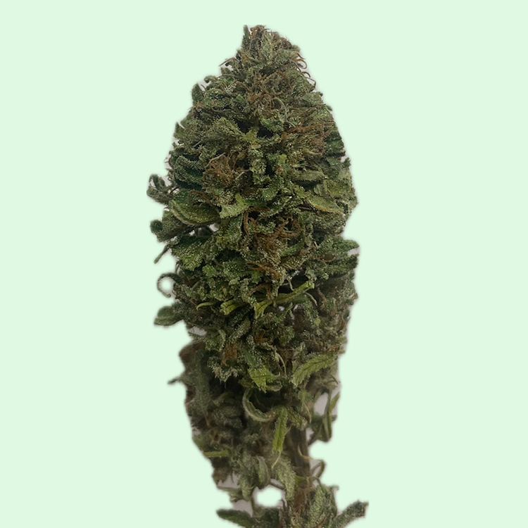 Fleurs CBD & CBG récolte 2025 10g